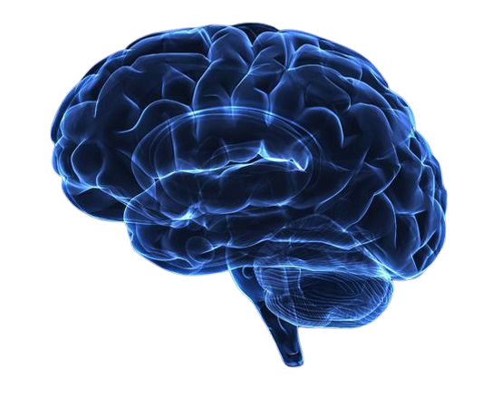 Illustration of a brain with neural activity